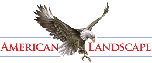 American Landscape